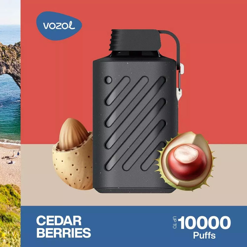 Vozol Gear 10000 Puffs | Best Disposable Pod Kit